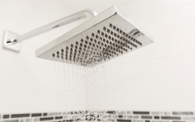 Showerheads and Other Water Delivery Systems