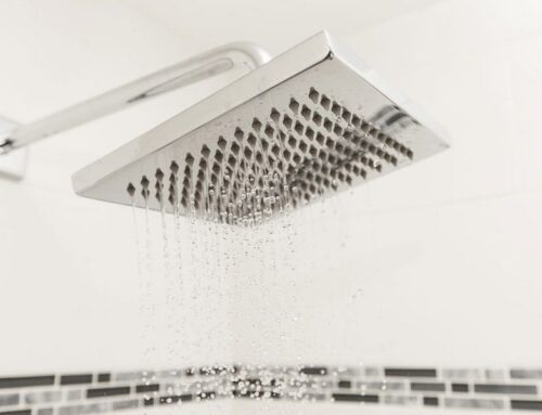 Shower Heads & Water Delivery Systems – Types, Setup & How to Choose the Right One