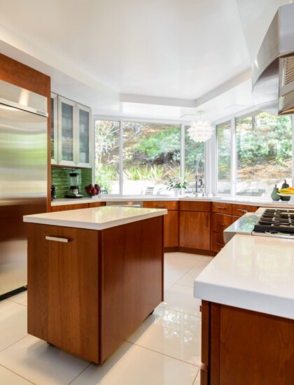 Stephanie Kaufman Kitchen
